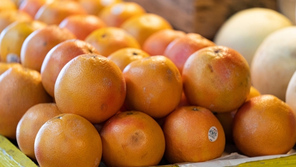 Namibia exports 424t of inaugural soft citrus and grapefruit in Q1 &#039;23