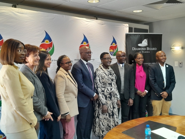 Vetting delayed Namibia&#039;s diamond advisory board appointments