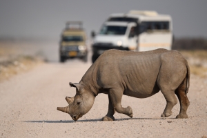 Namibia tourism arrivals increase by 98% in 2022