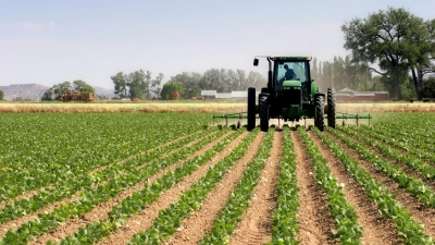 Agricultural sector growth to slow to 3.5% in 2023