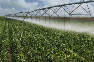 Namibia drafting Irrigation Master Plan