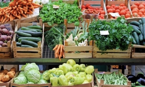 Horticultural produce shortages loom