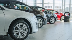 Banks’ cautious lending hits domestic car sales