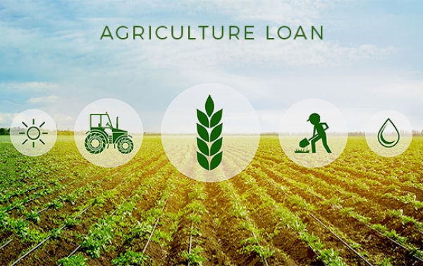 Planning for an agricultural loan? Here&#039;s what you need to know