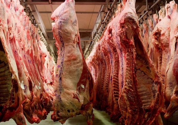 Norway beef quota up for grabs
