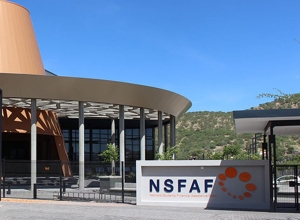 NSFAF plans garnishee orders to recover N$4.2bn debt