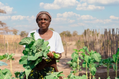 WFP partners Namibian online platform to improve marketing of food products