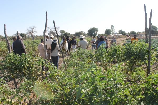 Green Climate Fund projects help smallholder farmers