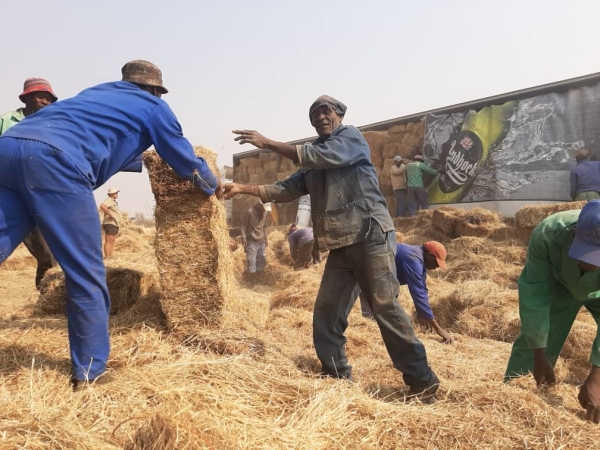 FNB, partners assist farmers in fire and drought-stricken areas