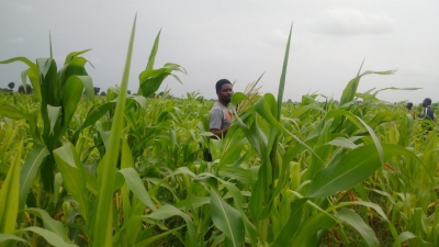 Agribank targets increased participation of women, youths in agriculture