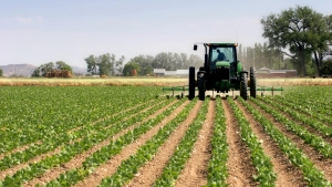 Agriculture has potential to spur economic growth