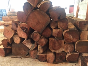 Money laundering, illicit timber among Namibia&#039;s economic headaches