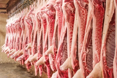 Namibia imports pork from EU to meet local demand