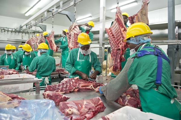 Meatco lacks capacity to support recovery – Schlettwein