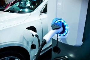 Govt will not subsidise Electric Vehicles imports