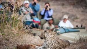 Namibia targets Chinese tourism market