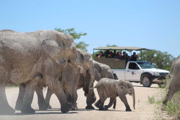 Namibia&#039;s tourism recovery far from pre-Covid levels