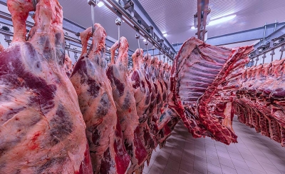 Beef export increased by 102% in Q3