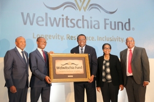 Gvt plans Sovereign Wealth Fund law