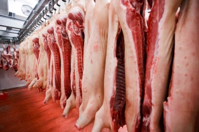 Namibia&#039;s pork imports surge by 66% in January amid demand