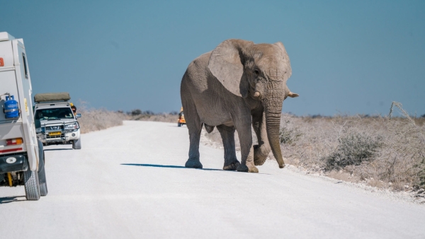 Namibia to benefit from N$1.3bn US-backed tourism fund