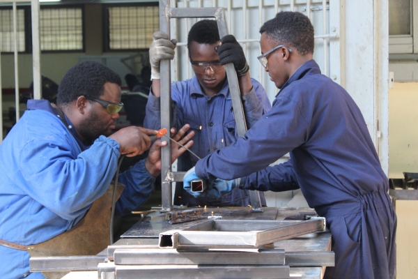 Navigating equitable vocational skills for the green industry