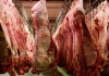 Northern farmers get lifeline to export beef to EU