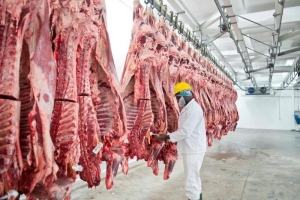 Meatco’s NCA beef export consignment arrives in Ghana