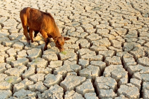 Union issues drought warning