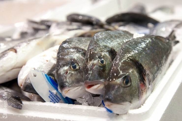 Namibia exports fish products worth N$4bn in 3 months