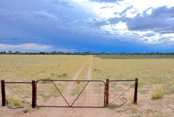 Ex-Oshakati mayor and bank square off in court