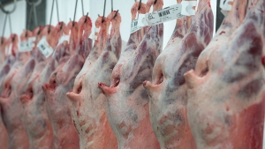 Hartlief secures Norway lamb export deal