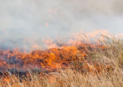 Namibia loses 500k hectares to uncontrolled fires