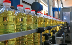 Woolworths and Pick n Pay have started rationing sunflower oil